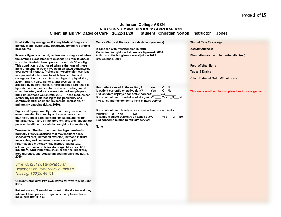 Nursing Process Part 1 & 2_diy6w99dghr_page1