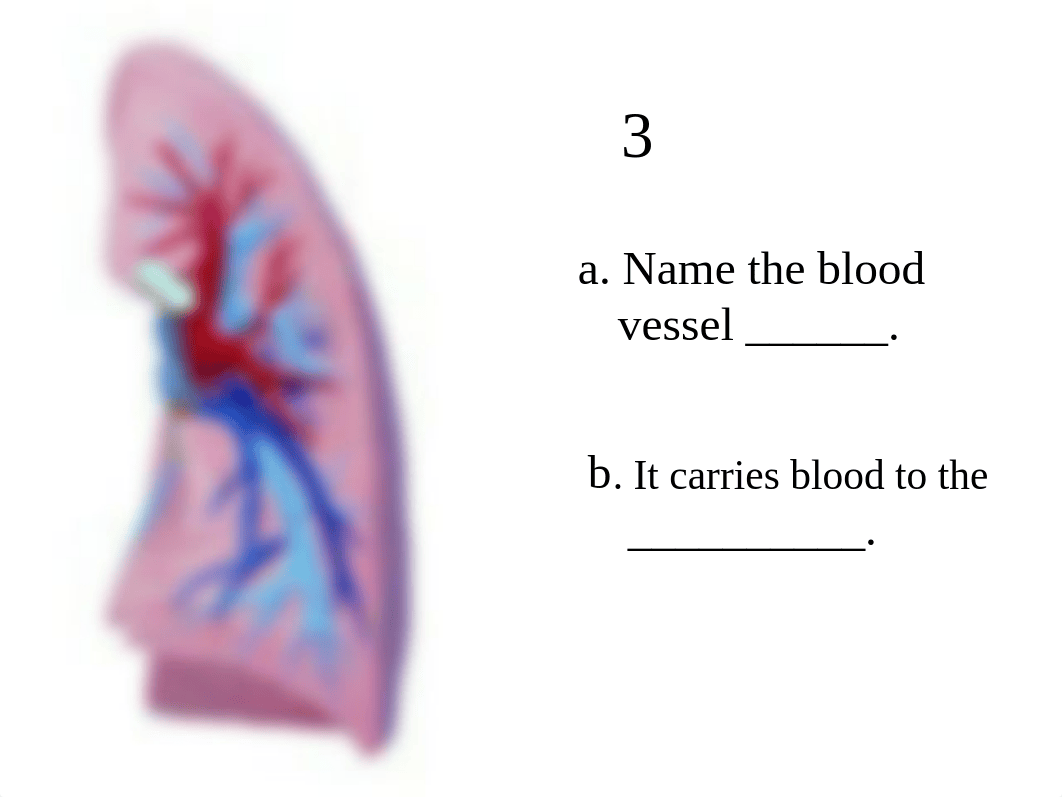 AP 2 Practical 2 practice 1_diyfjm10knl_page3