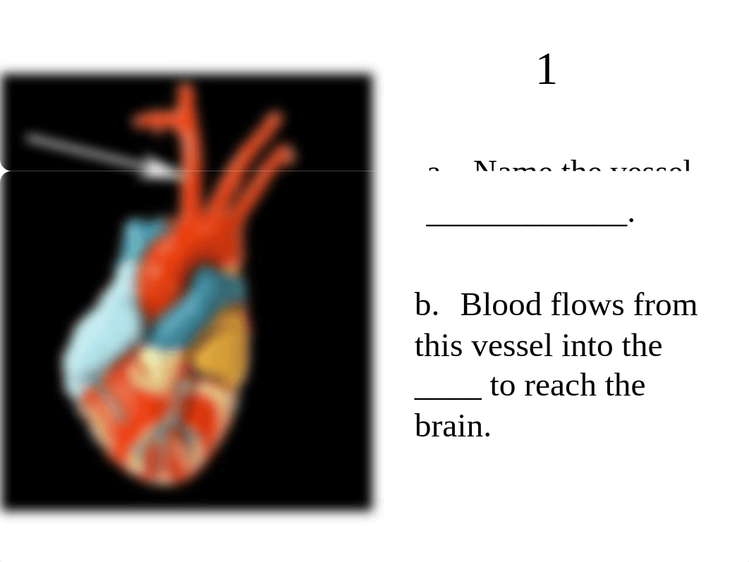 AP 2 Practical 2 practice 1_diyfjm10knl_page1