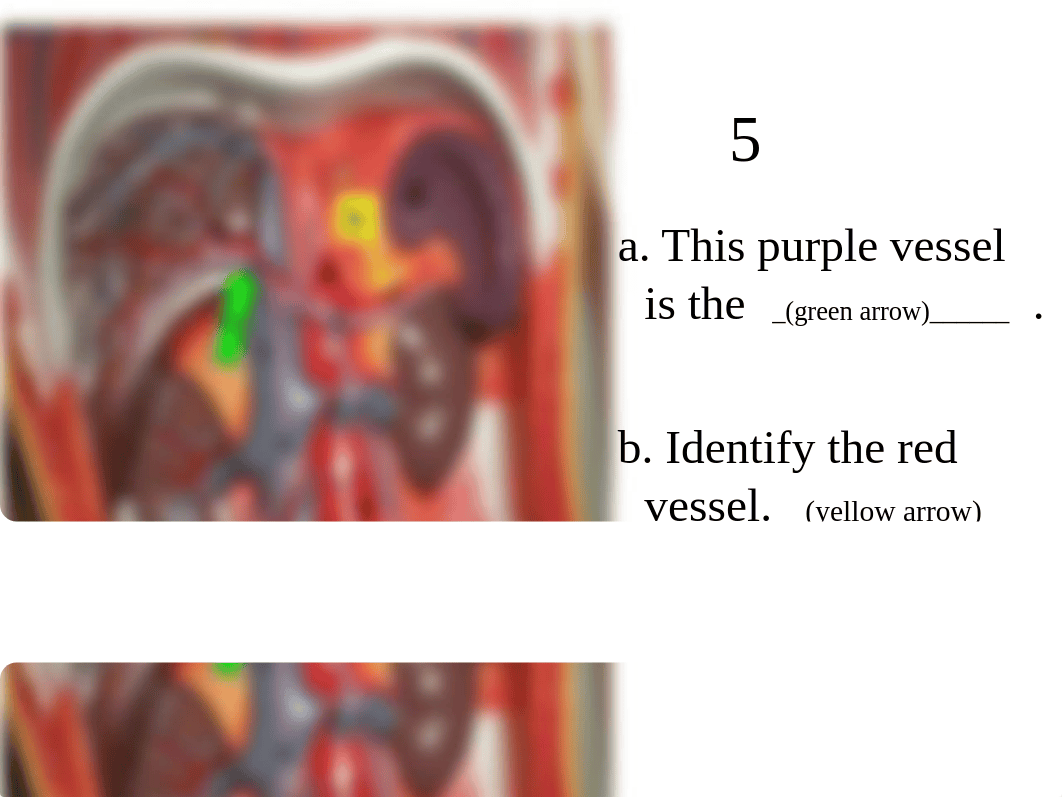 AP 2 Practical 2 practice 1_diyfjm10knl_page5