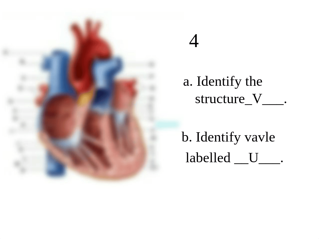 AP 2 Practical 2 practice 1_diyfjm10knl_page4