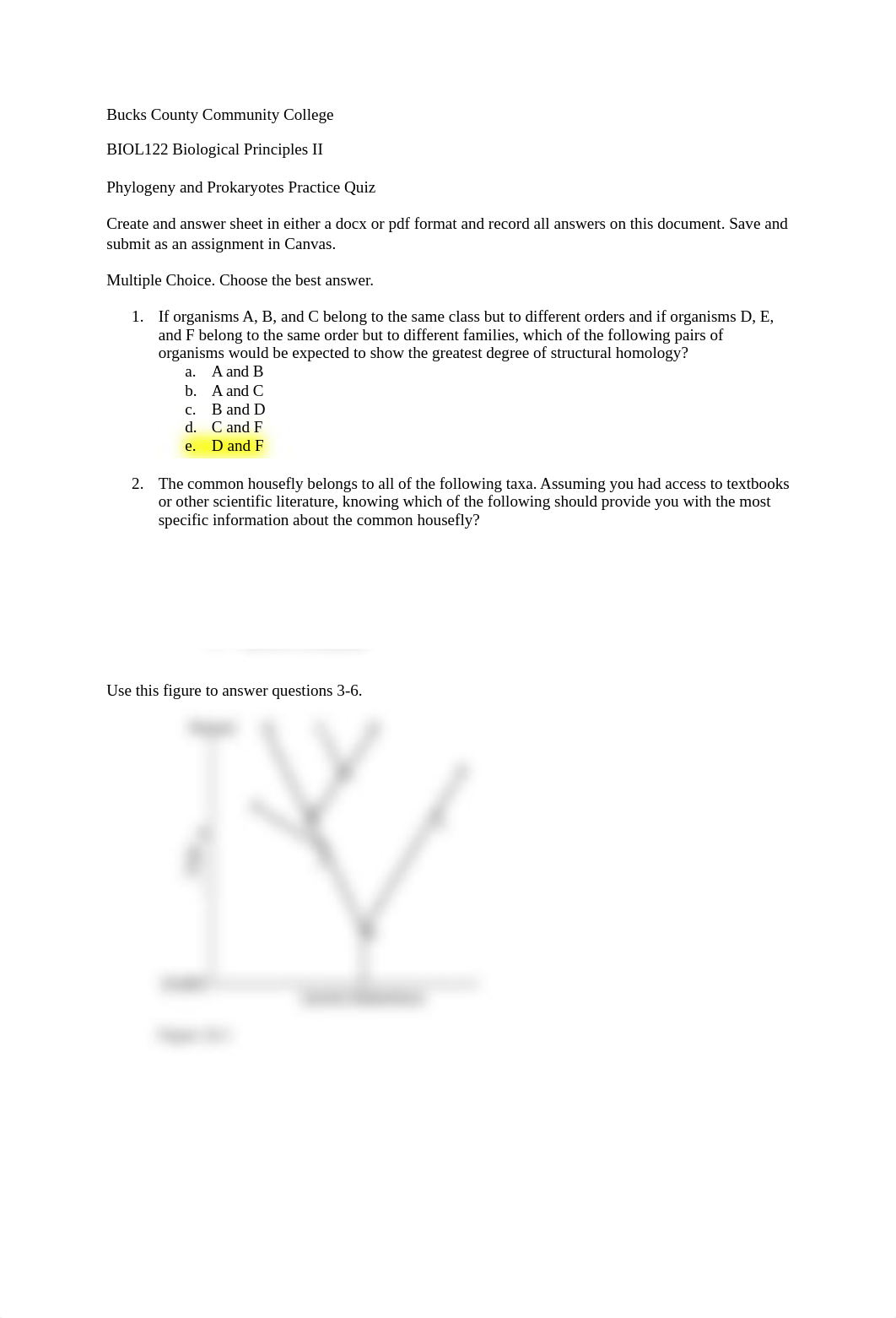 PhylogenyAndBacteriaPracticeQuizSp21.docx_diyr6gcq9lq_page1