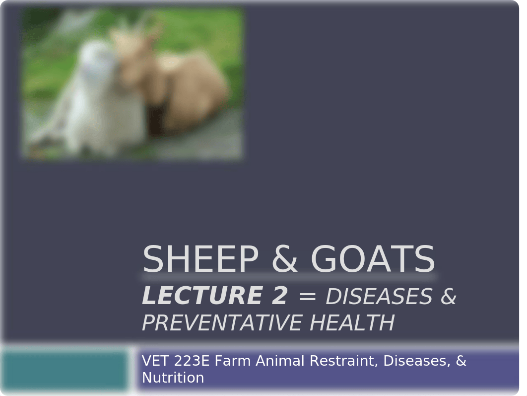 Lecture 2 - Sheep, Goats - Diseases and Preventative Health ppt.pptx_diyy8x92hgc_page1