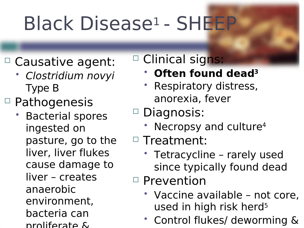 Lecture 2 - Sheep, Goats - Diseases and Preventative Health ppt.pptx_diyy8x92hgc_page5