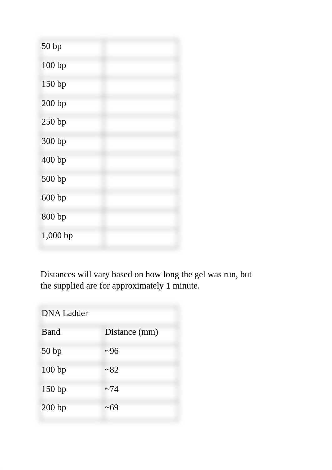 Worksheet_with_Answers_DNA.pdf_diz0gs4qvwr_page2