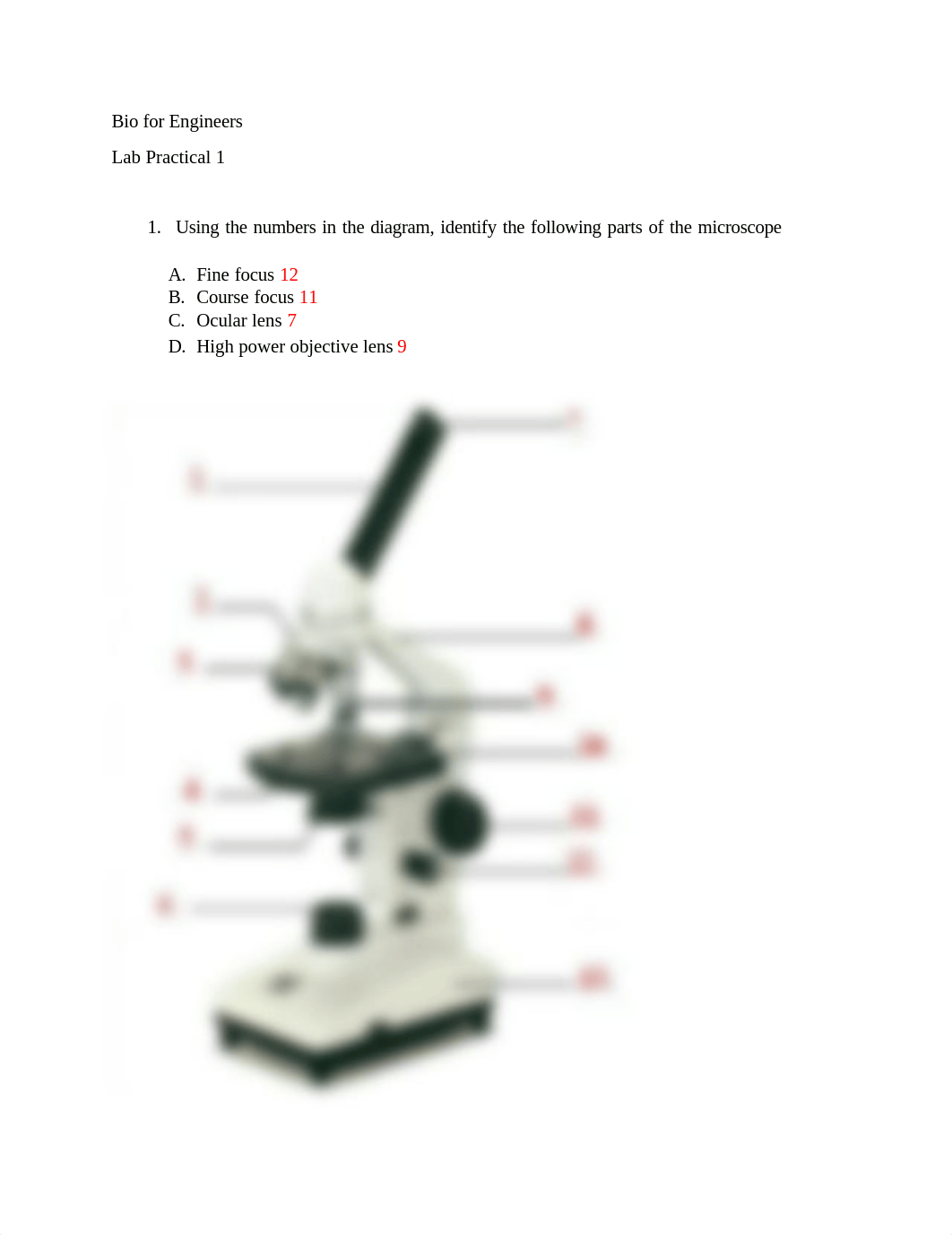 Lab Practical 1 (1).pdf_diz1mrjlfkf_page1