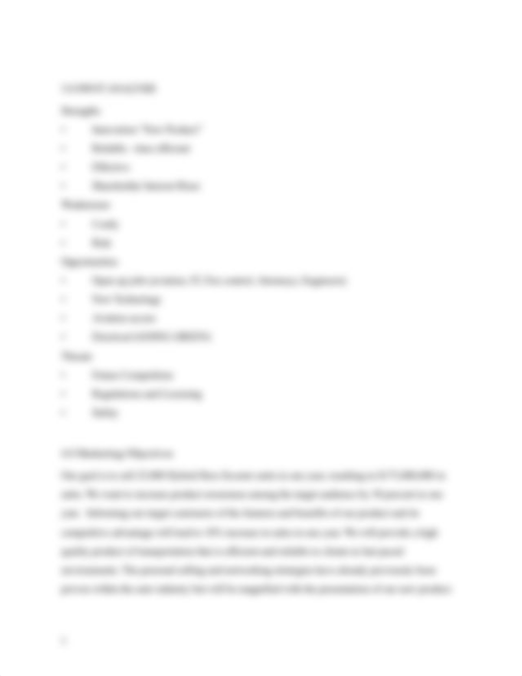 Marketing Plan for Fictional Product_diz6ssjlehp_page5