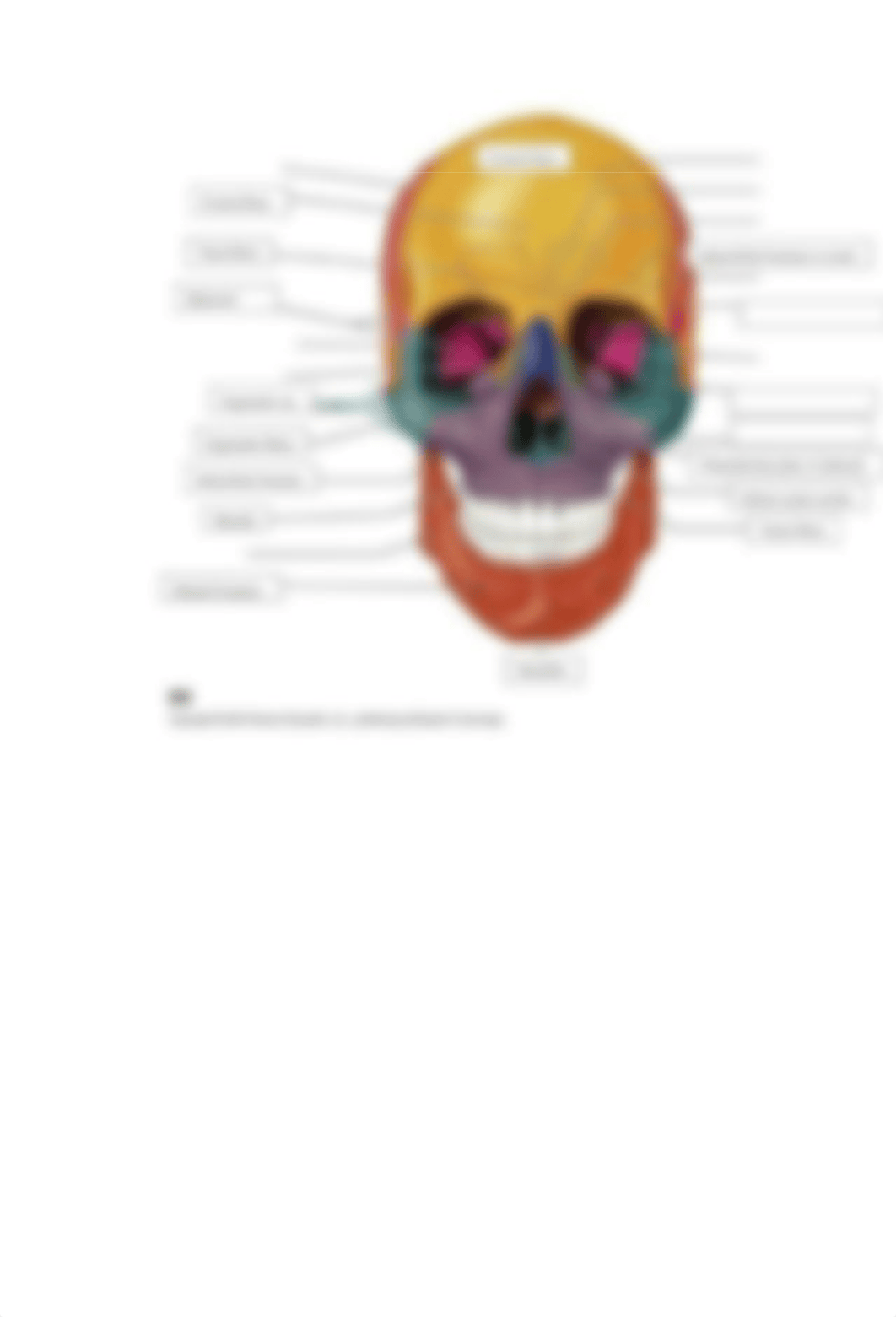 Pre lab 3 bio 2019.docx_dizdzflwb2h_page5