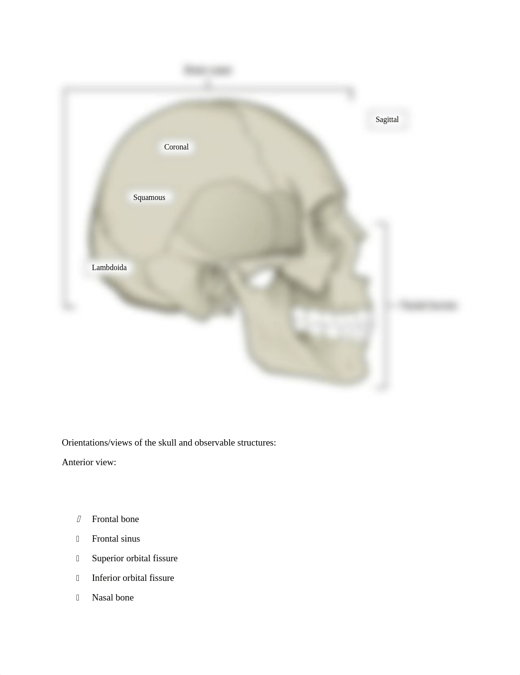 Pre lab 3 bio 2019.docx_dizdzflwb2h_page3