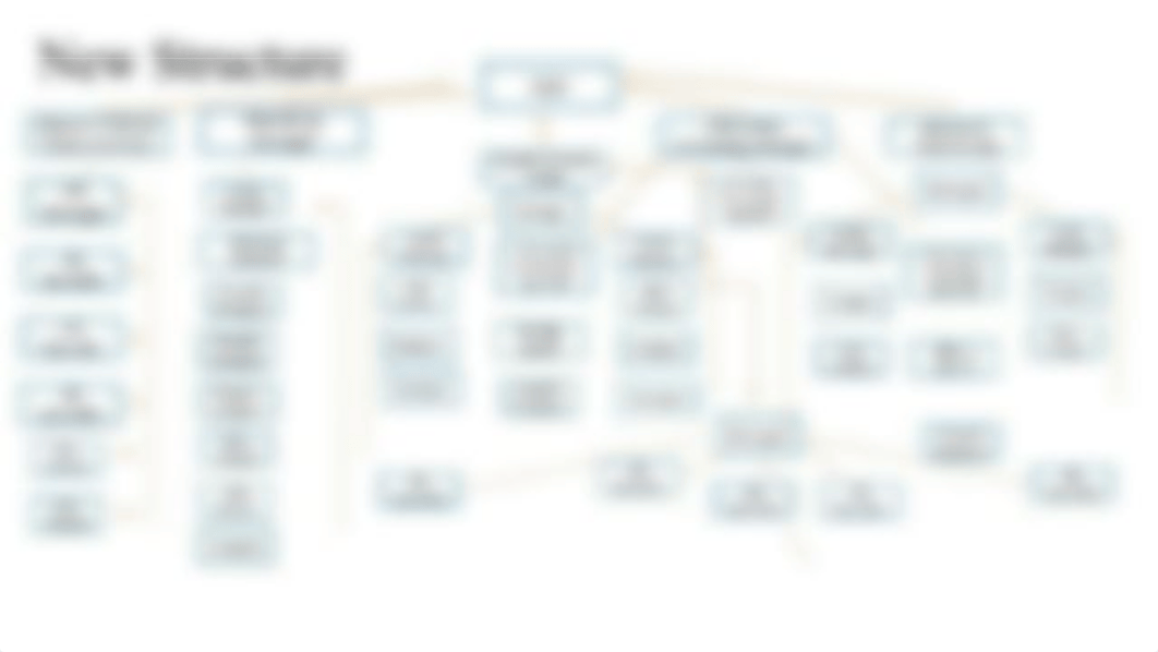 BUS 6-3 Assignment Organizational Structure map.pptx_dizod5l15uz_page2