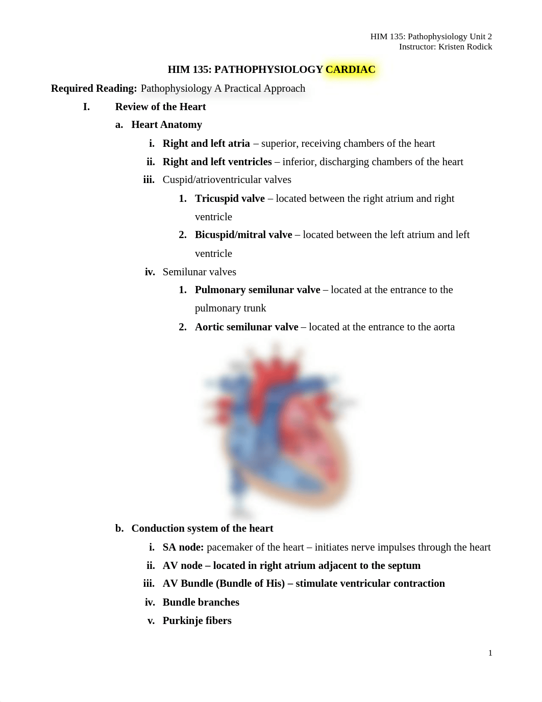 1 Cardiovascular Disorders outline.docx_dizqwg4jdz2_page1