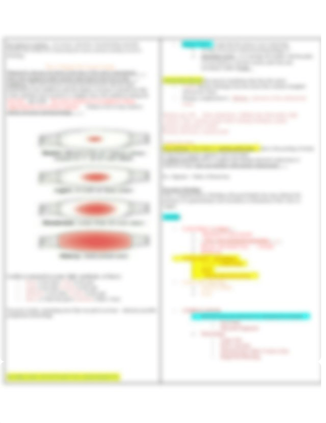 OB PP notes.docx_dizswpcr2ax_page2