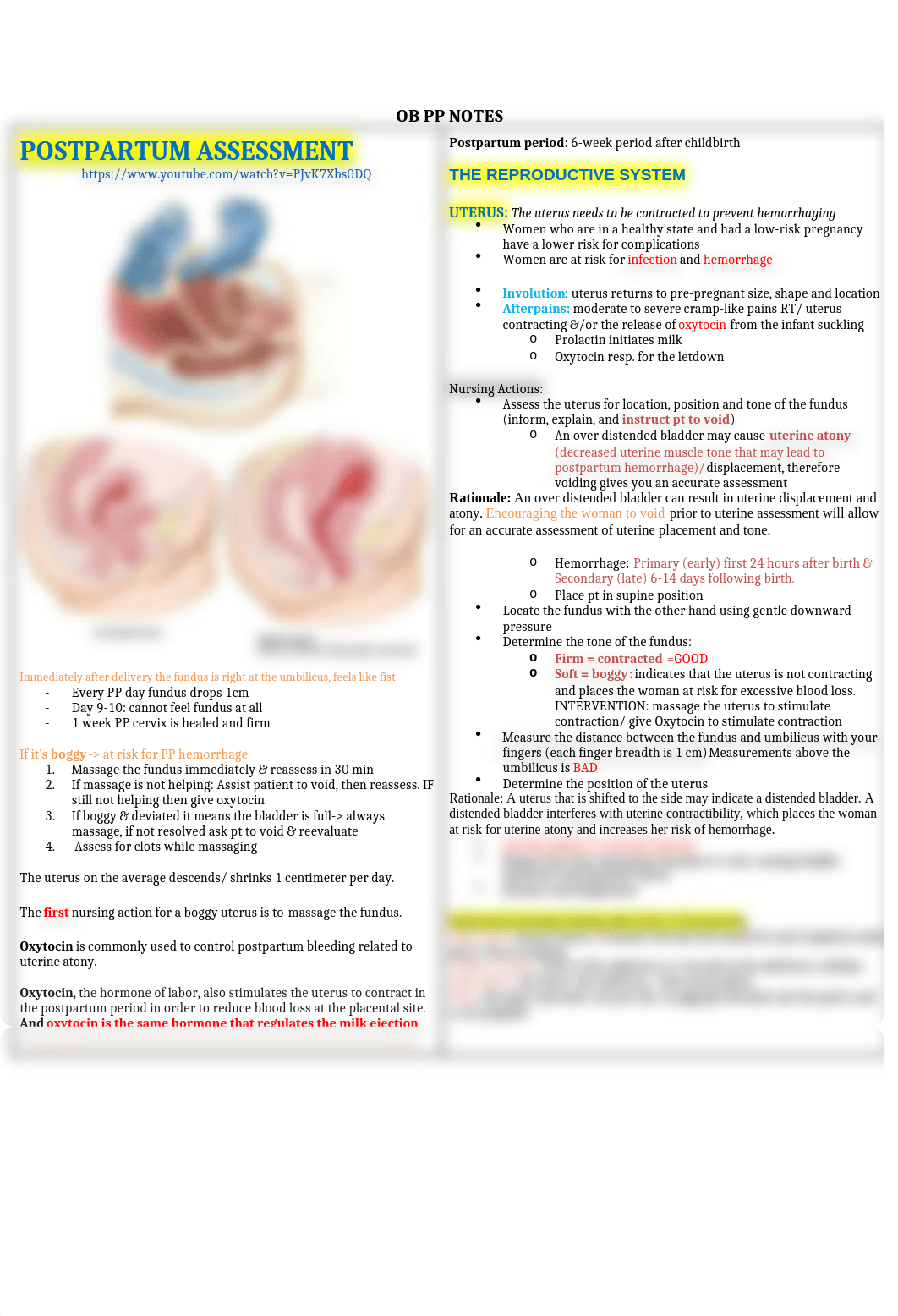 OB PP notes.docx_dizswpcr2ax_page1