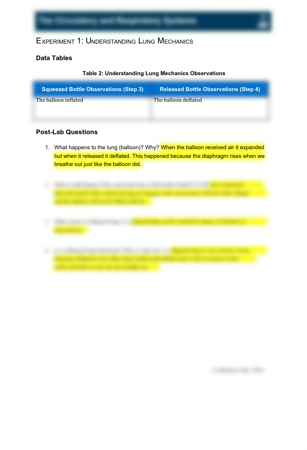 IB_1108_L25_CircAndResp.docx.pdf_diztokbamj0_page2