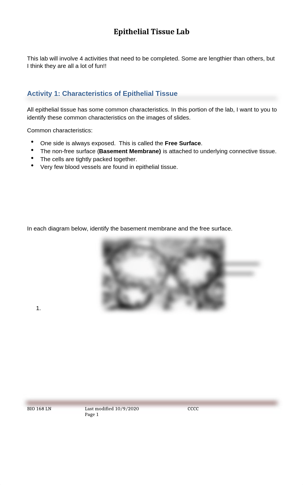 Epithelial Tissue Lab.docx_dj053dwwxlx_page1