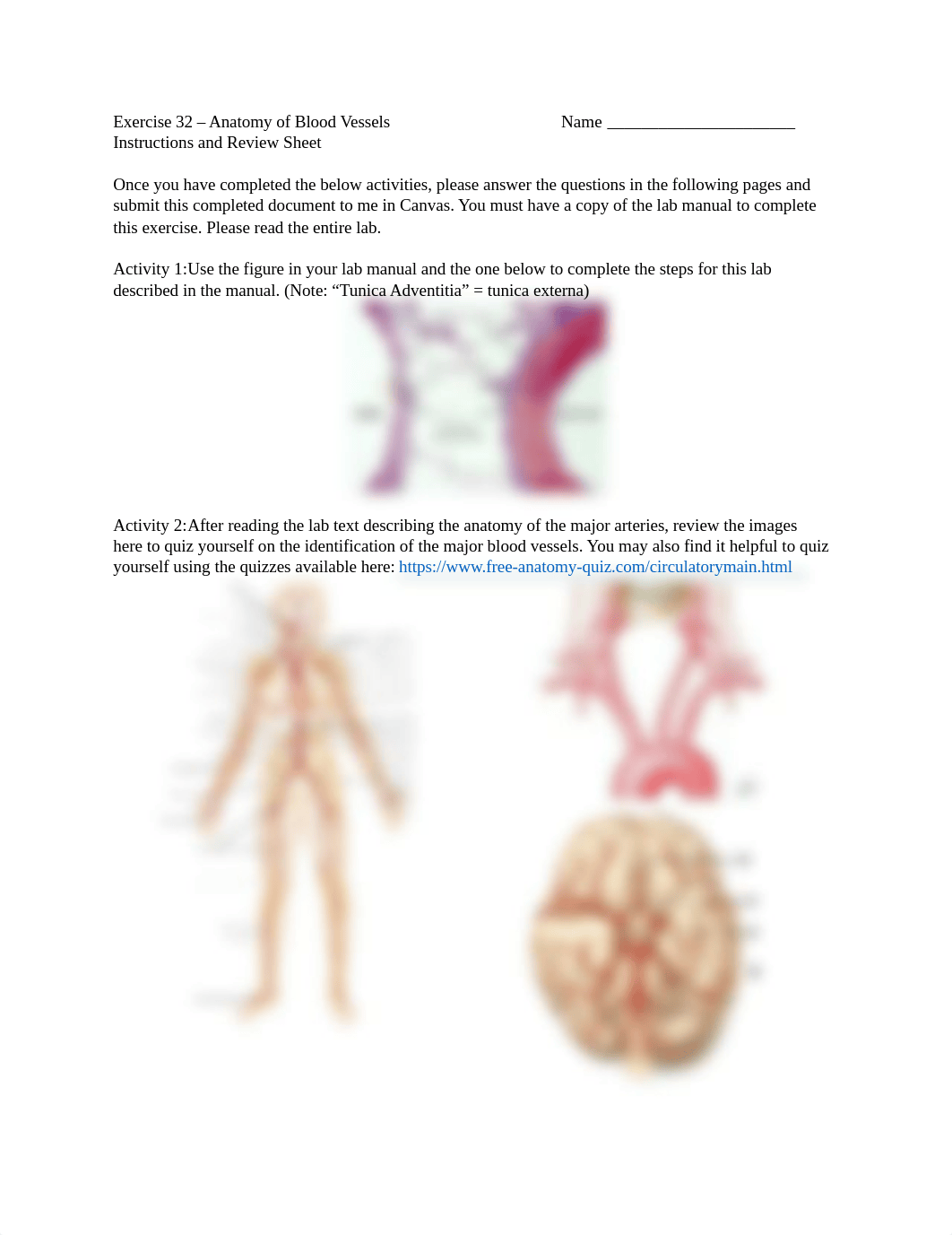 Exercise 32 - Anatomy of Blood Vessels.docx_dj07yowcs7u_page1