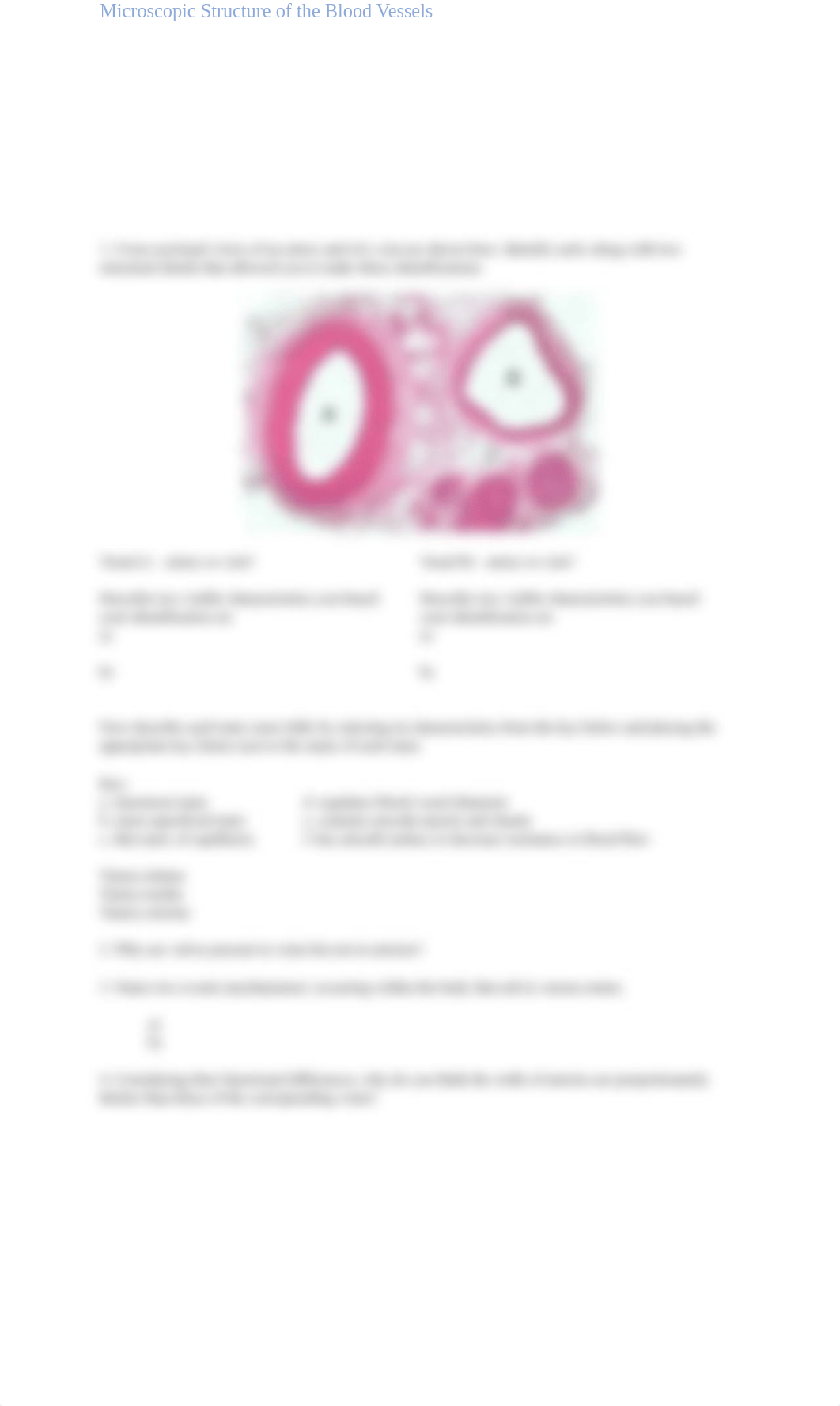 Exercise 32 - Anatomy of Blood Vessels.docx_dj07yowcs7u_page3