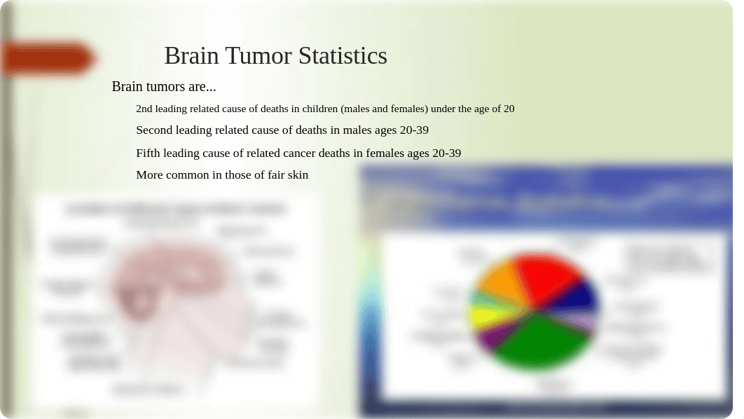 Brain Tumor PowerPoint (1).pptx_dj08s1lwst7_page4