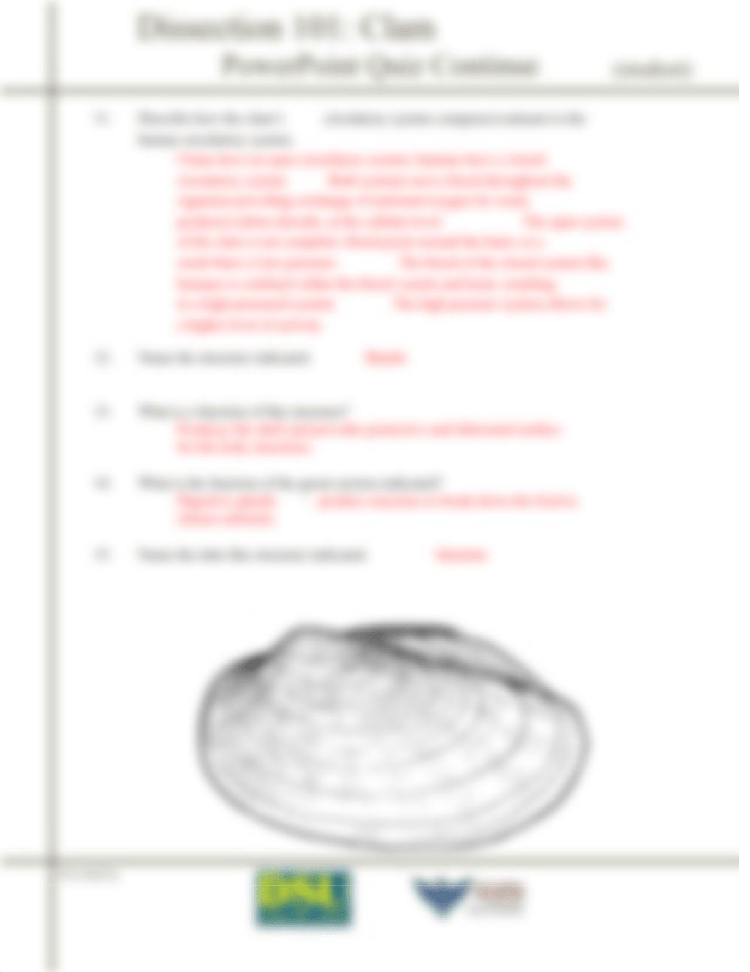 Clam Dissection Quiz Answer Key.pdf_dj0cboh1zxp_page2