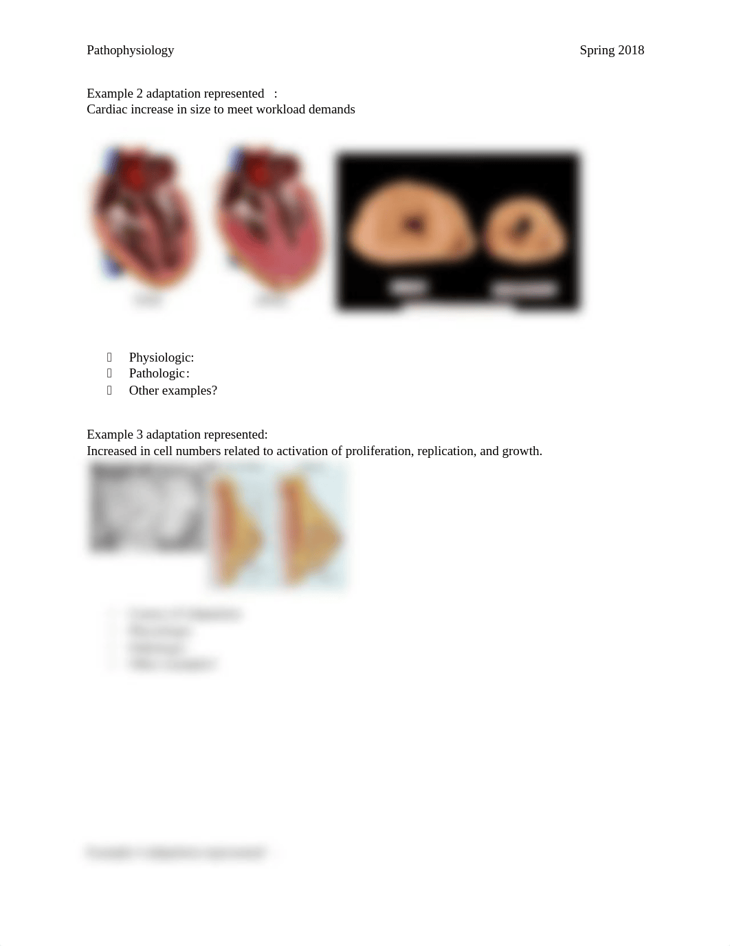 Cell Adaptation in-class worksheet student(1) (1).docx_dj0d3hyhlfs_page2