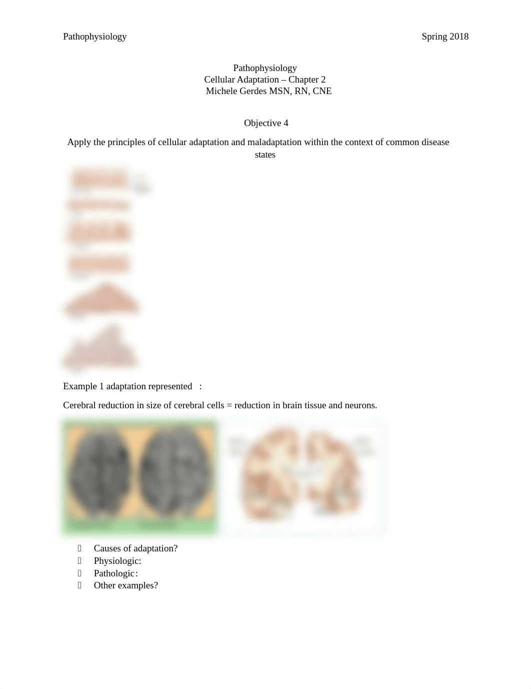 Cell Adaptation in-class worksheet student(1) (1).docx_dj0d3hyhlfs_page1