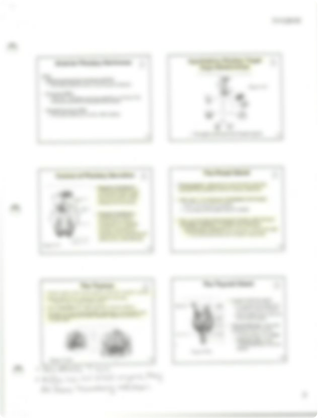 Chapter 17 The Endocrine System.pdf_dj0epi6i4lk_page3