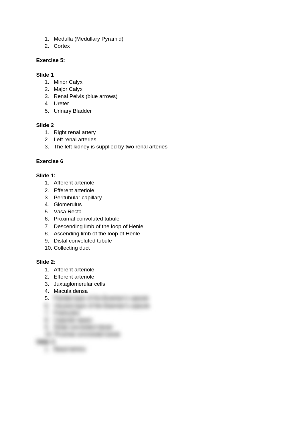 Lab 7_ Urinary System Answer Key.docx_dj0nihvlamx_page2