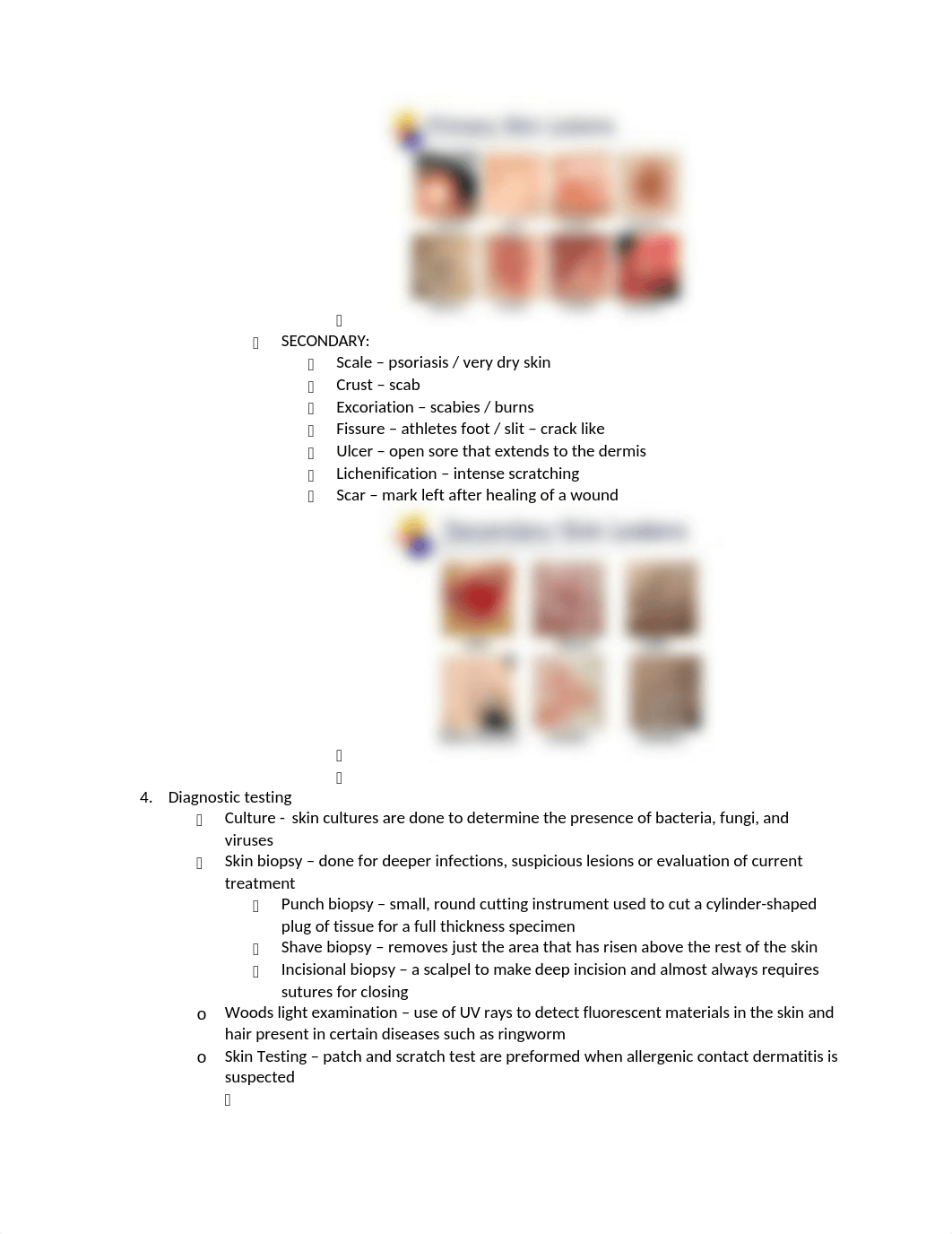 Exam_1_study_guide-Skin_dj0nuyt3rvb_page2