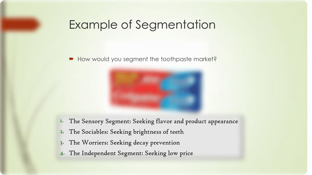 10.06.15 Eight-Step Segmentation.pdf_dj0r6ic7krv_page4