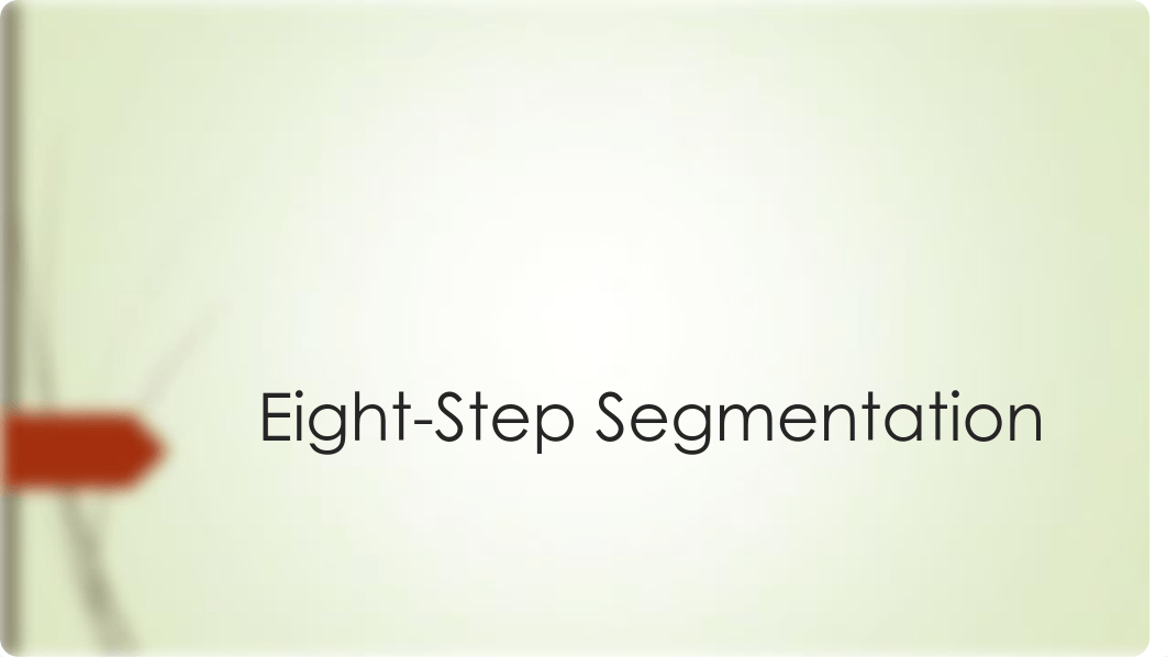 10.06.15 Eight-Step Segmentation.pdf_dj0r6ic7krv_page1