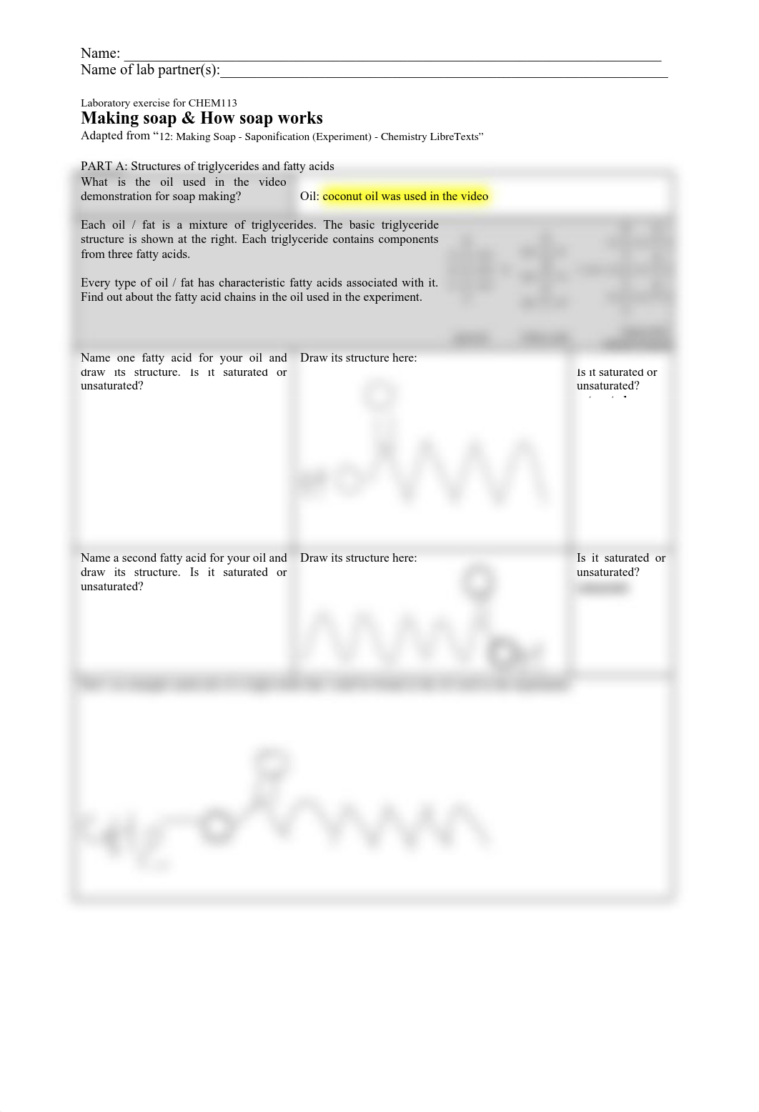 CHEM113_12_Soap_vl_v2 (1) (2).pdf_dj0t4ep55vo_page1