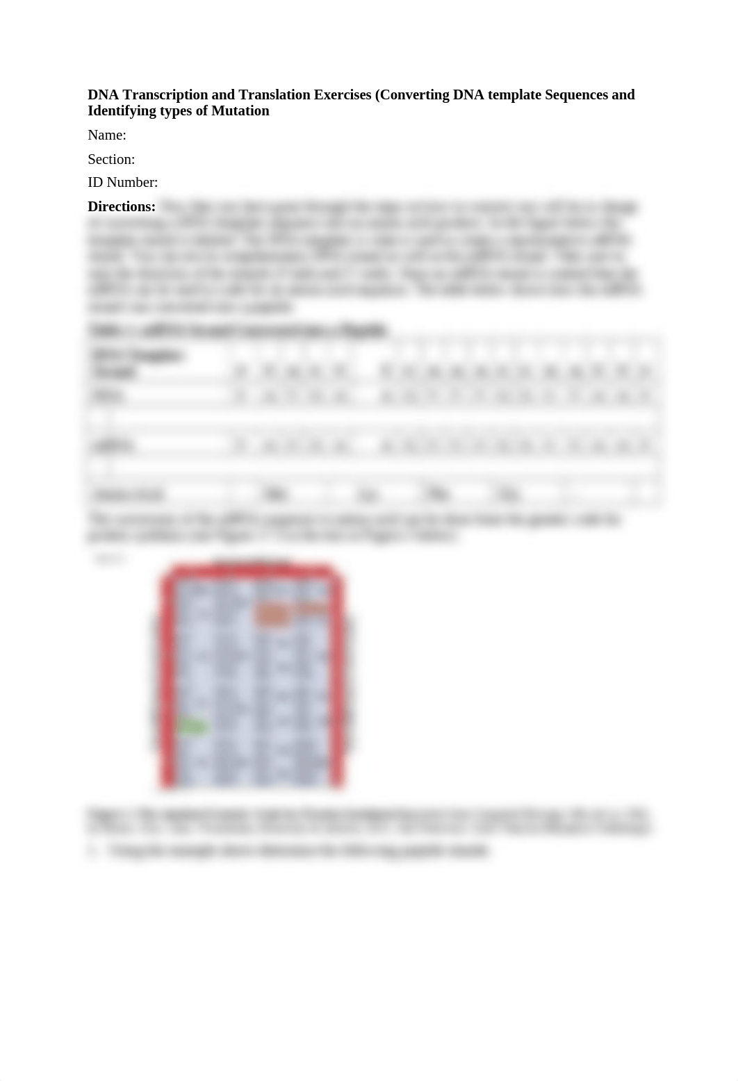 DNA- Lab Worksheet - Payton Mueller.docx_dj0tqvxvsch_page2