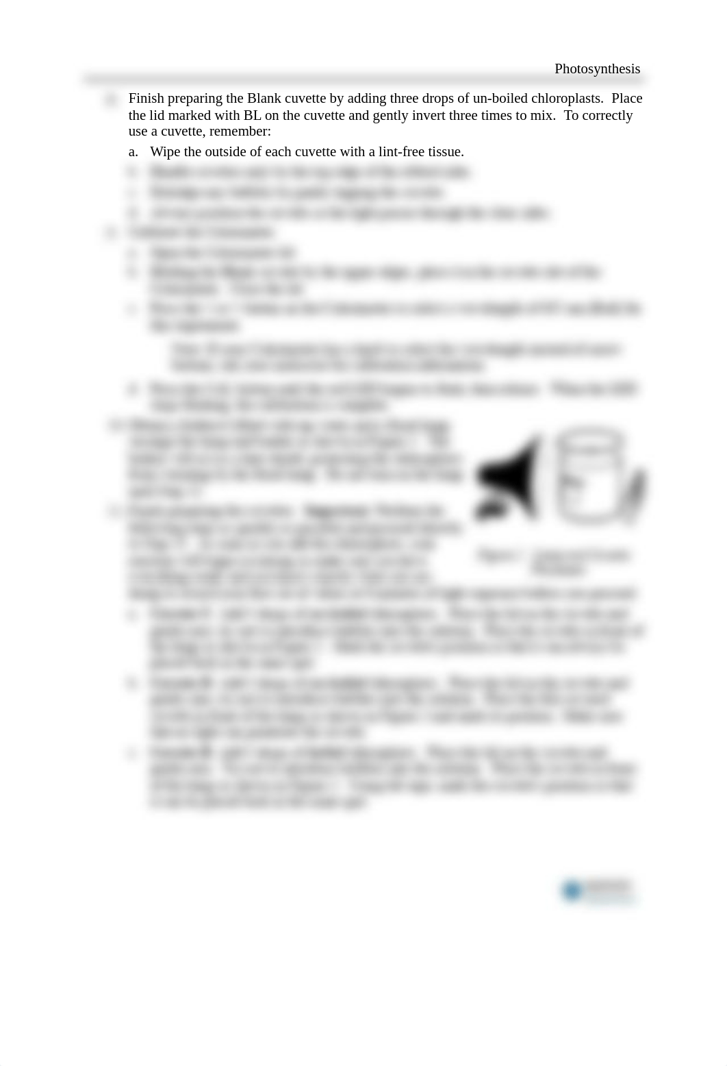 07s-Photosynthesis.pdf_dj0vjz0f54e_page3