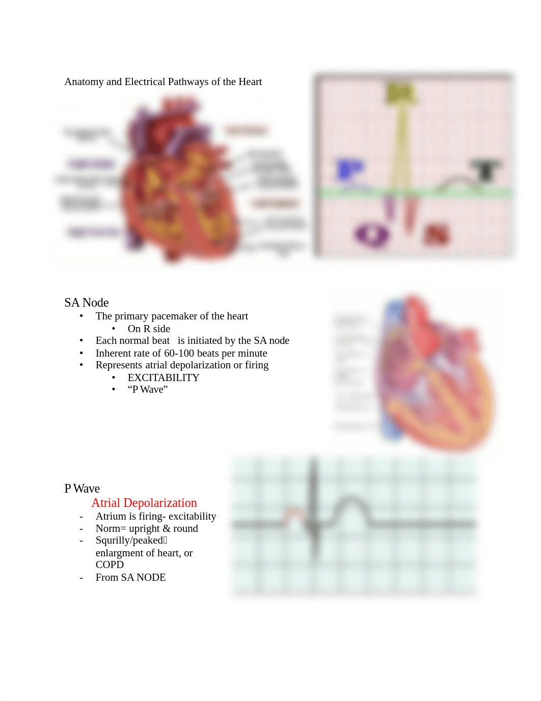 Basic Cardiac Rhythm Interpretation.docx_dj0zt4cj3y6_page2