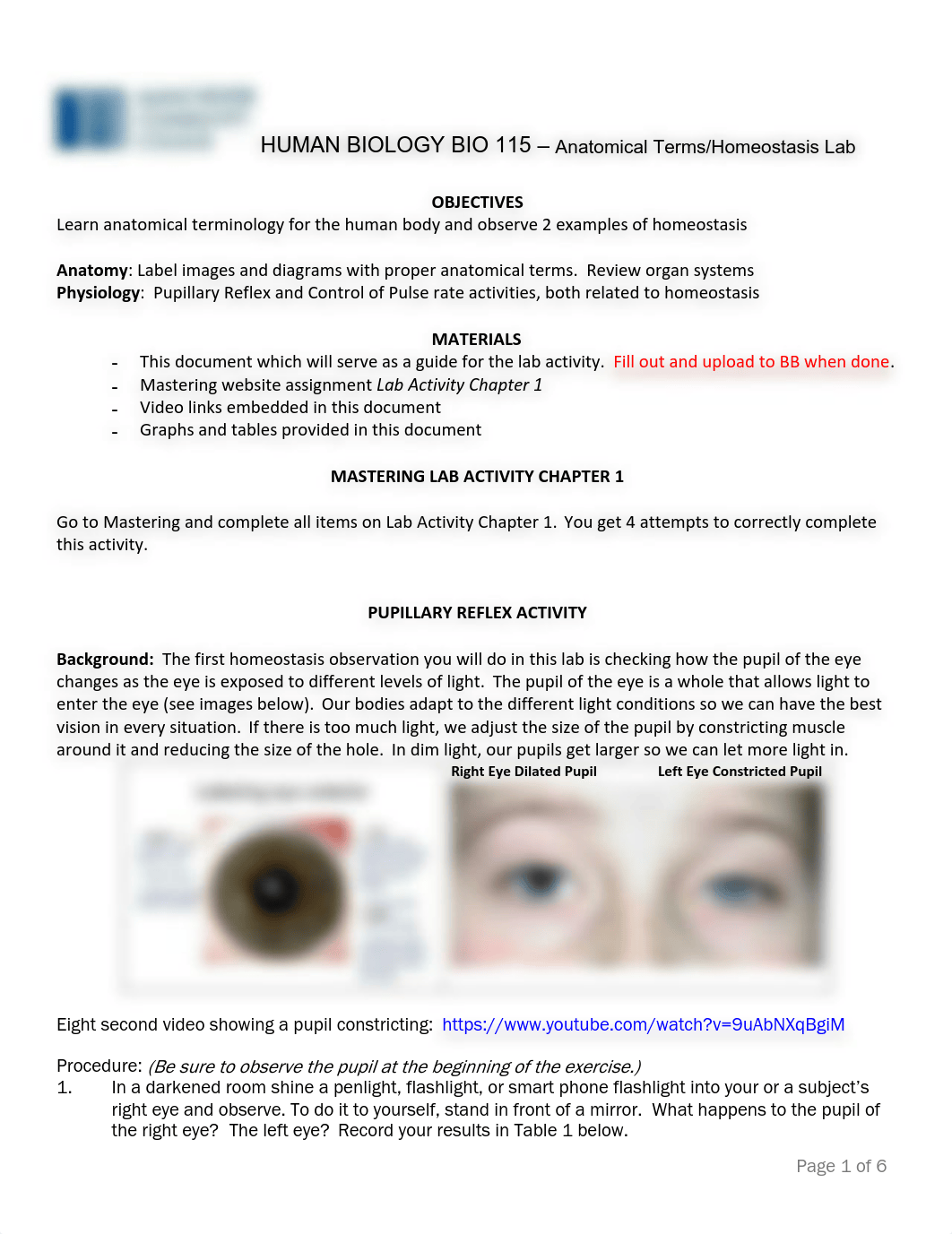 Bio 115 Anatomical terms and Homeostatis Online Lab Activity.pdf_dj0zww2mfv2_page1