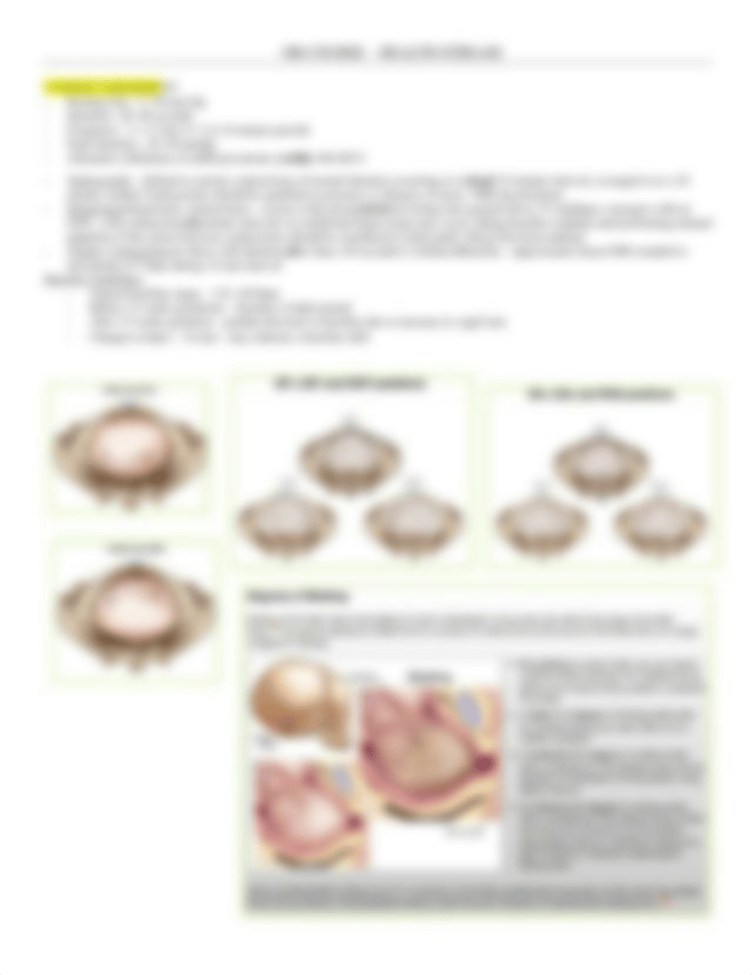 OBGYN - Obstetrics Course Notes - BL_dj10hdsbb68_page2