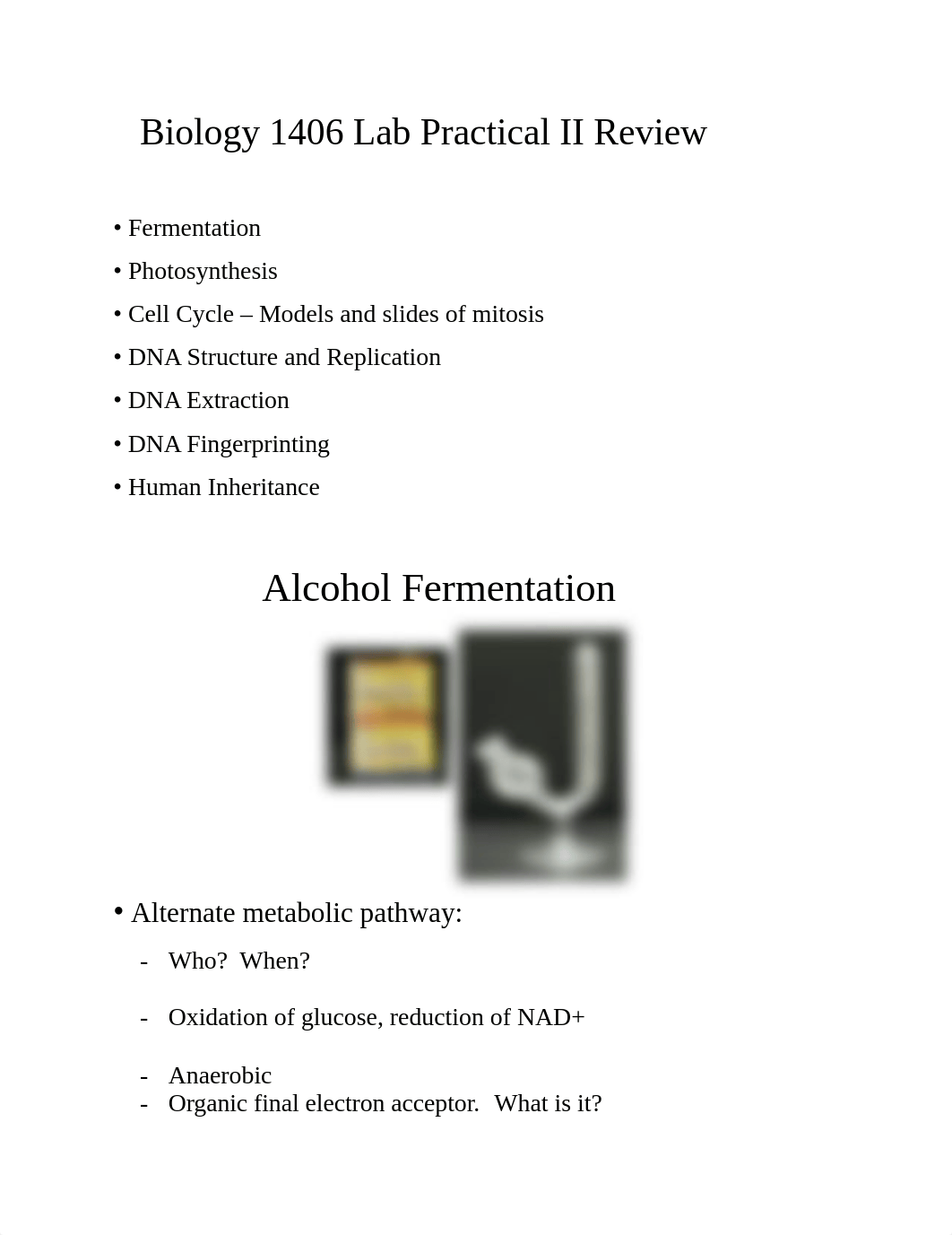 bio lab practical 2 edited.docx_dj11yr11jz9_page1