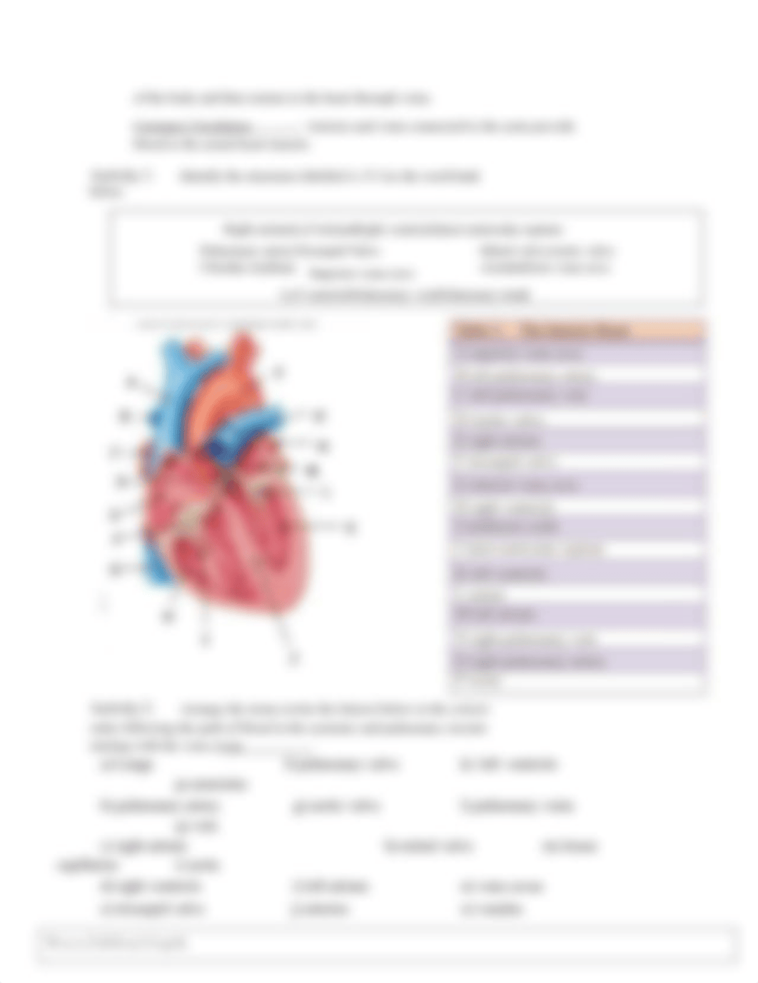 Ch 10 WS Cardio.docx_dj1b82lp64o_page2