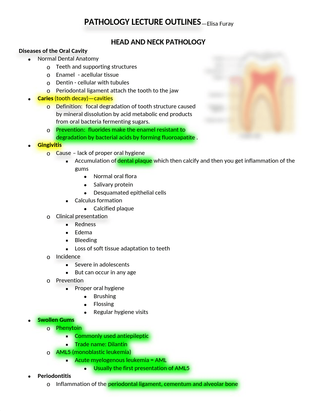 stomach PATHOLOGY LECTURES part 1 (Autosaved)_dj1bnqur8mk_page1