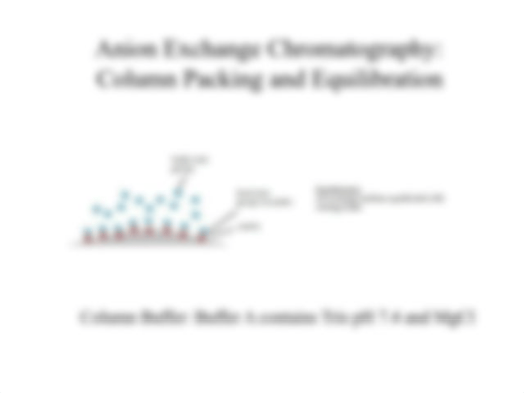 Ion Exchange Chromatography Alternate) (1).pptx_dj1k3tl7fuf_page5