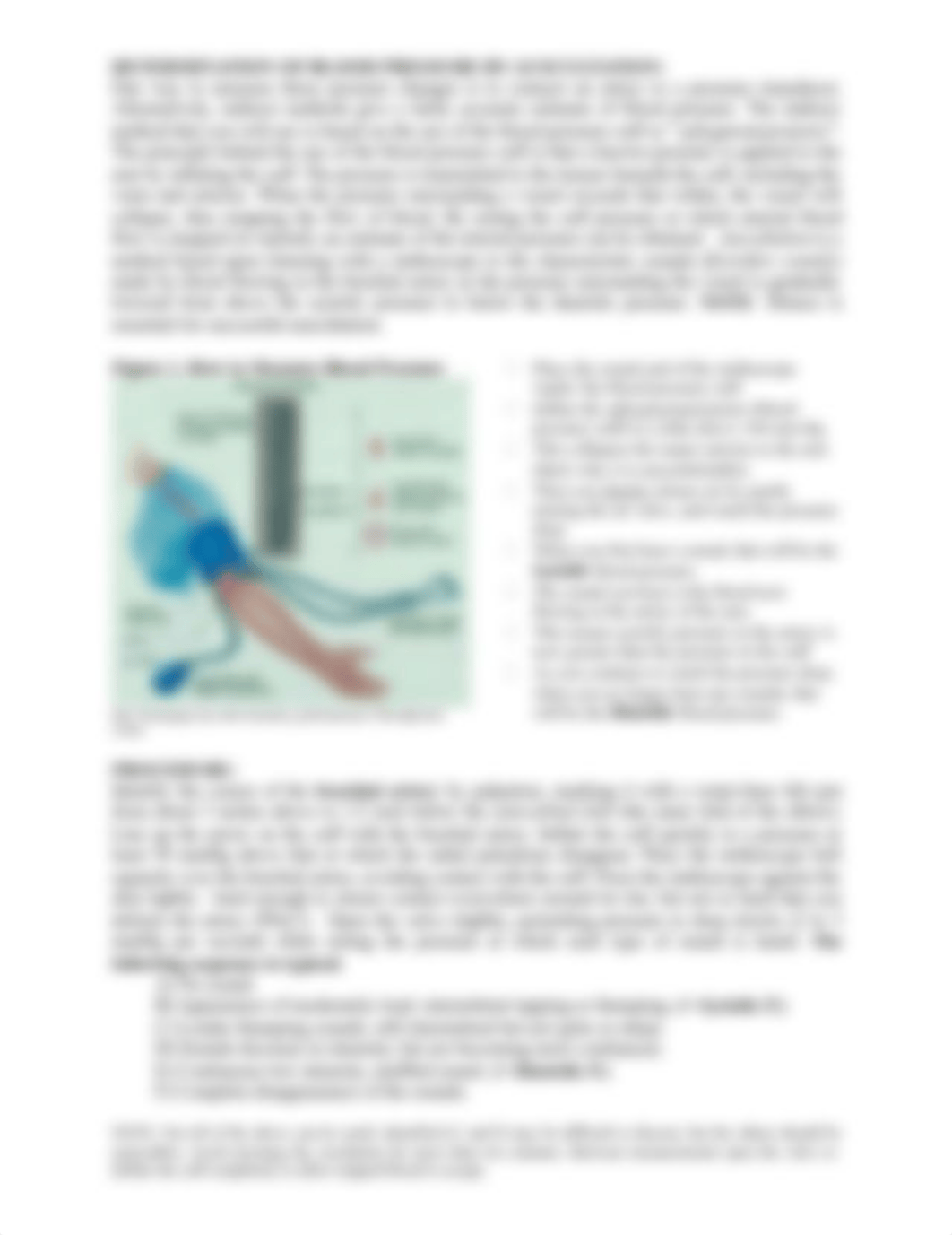 Experiment #4 Blood Vessel Physiology Handout.pdf_dj1ogb5g67w_page2