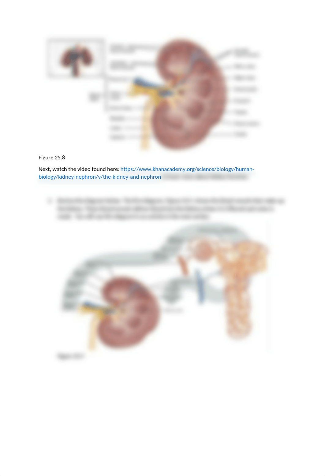 Virtual Lab Activity CM.docx_dj1p4arojr2_page2