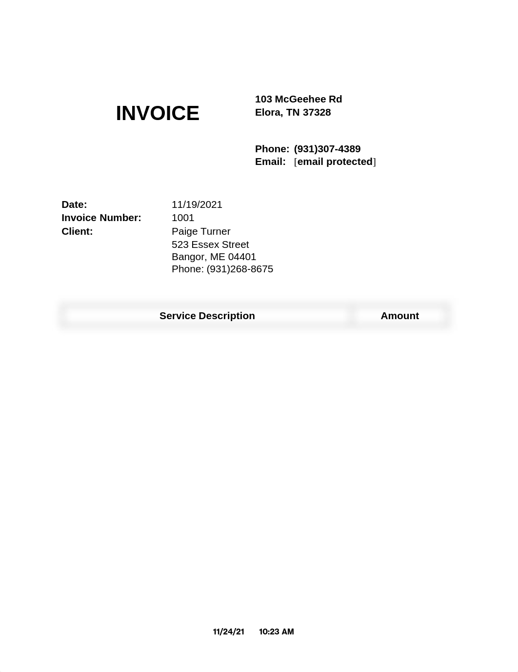 Paige Turner 2020 Tax Return.pdf_dj1v9vxdxds_page1