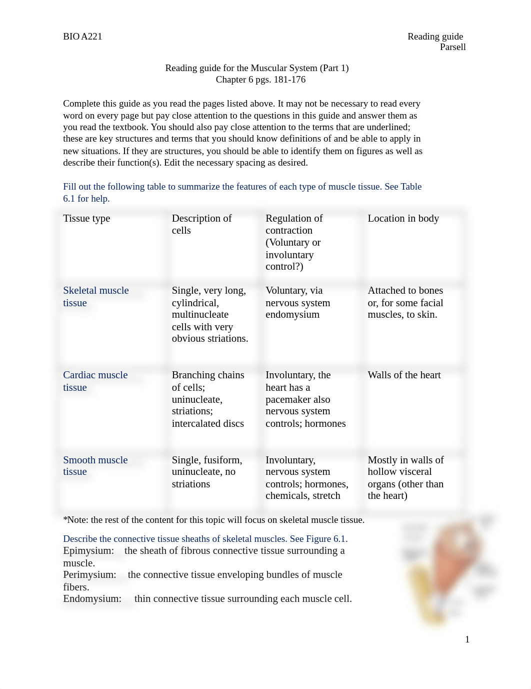 reading guide- Ch. 6 Muscular System (Part 1).docx_dj25ok8h8rb_page1