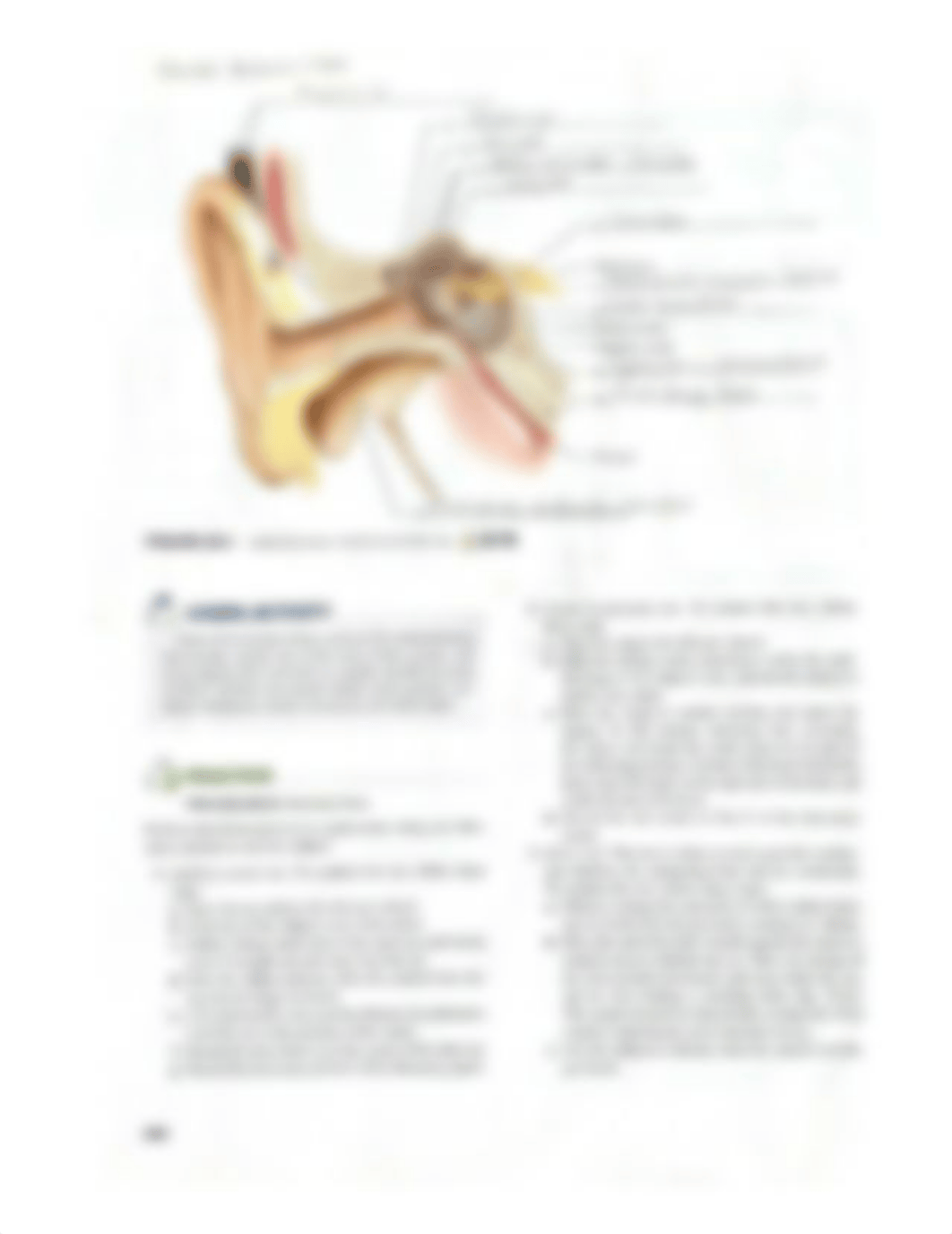 Lab reports 30, 3, 32, 33, and 34.pdf_dj26uw6uap2_page4