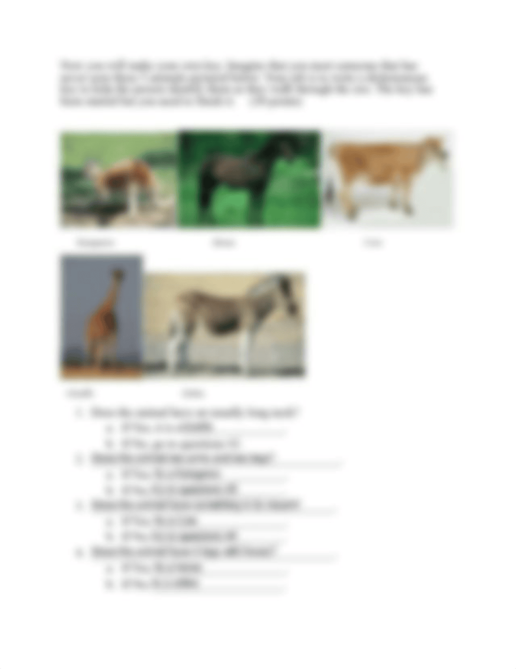 Dichotomous+Key+Identification.pdf_dj28vwkdthd_page3