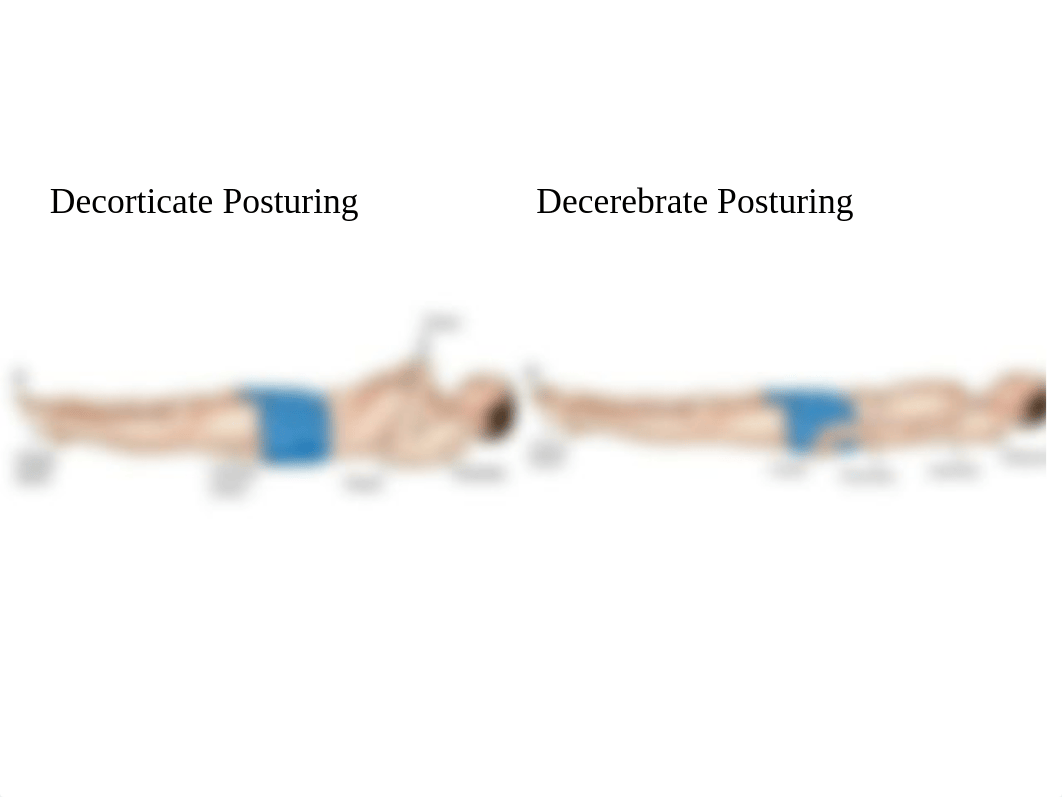 Neuro nur 260 PART 2 (1).ppt_dj2a2zsfiig_page3