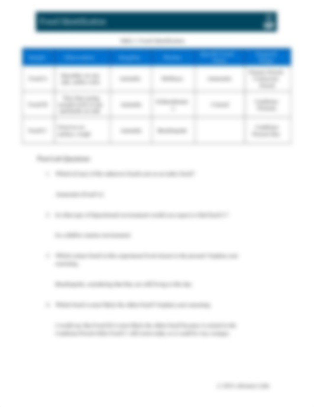 FossilIdentificationLab.docx_dj2dypft4n9_page4