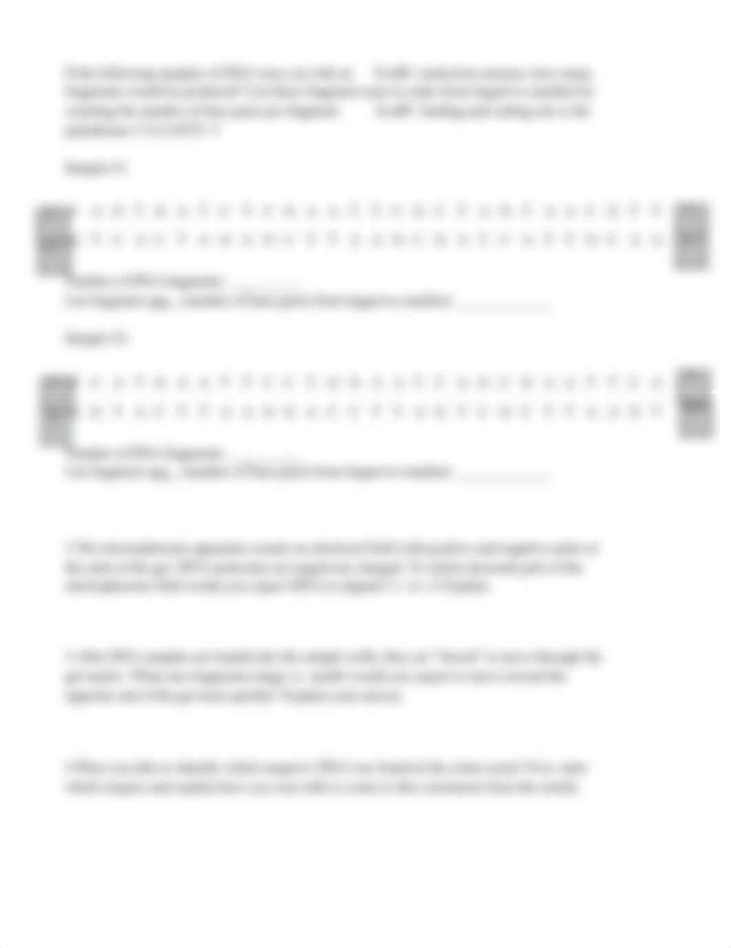 Micropipette and DNA fingerprinting(1).docx_dj2f3t233ih_page2