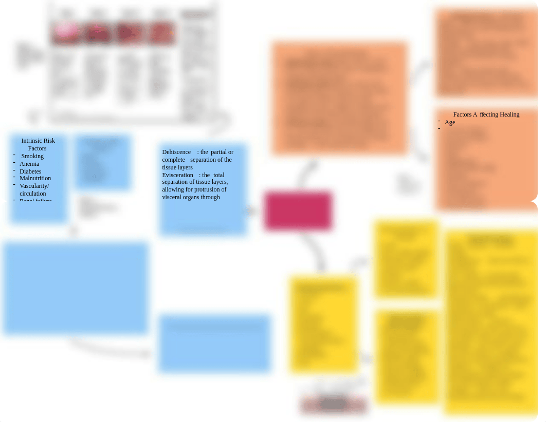 wound management concept map.pdf_dj2ilxh0we9_page1